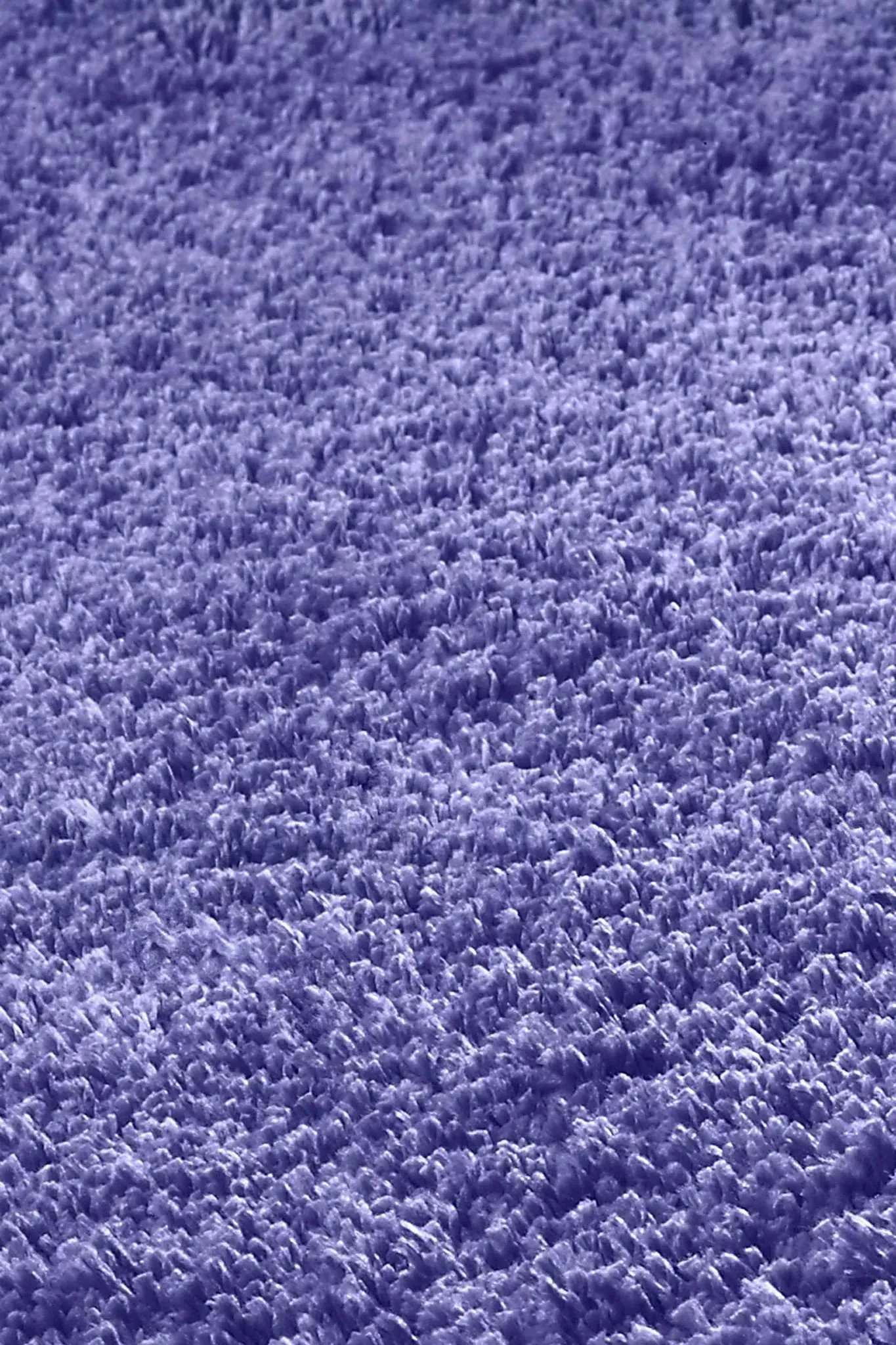 Bliss-1573 Shag Purple Rug