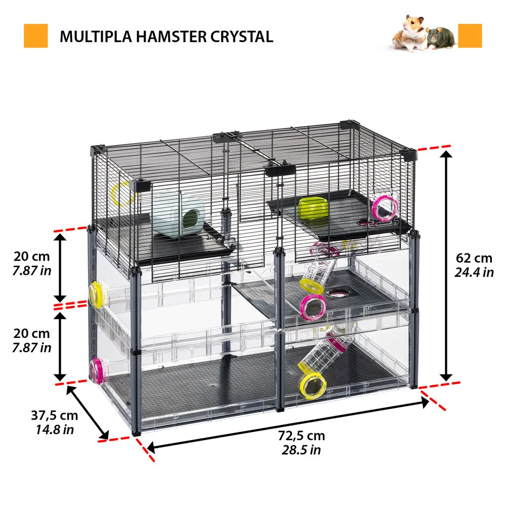 MULTIPLA HAMSTER CRYSTAL